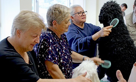 El Hospital de Torrejón de Ardoz trabaja con animales para combatir la depresión hospital terapia animales depresion